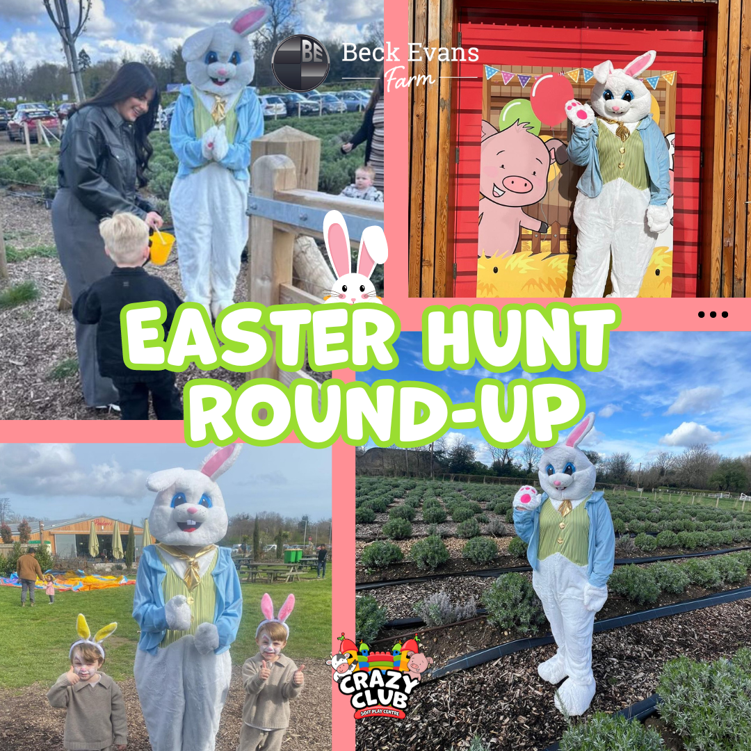 Easter Hunt (2)