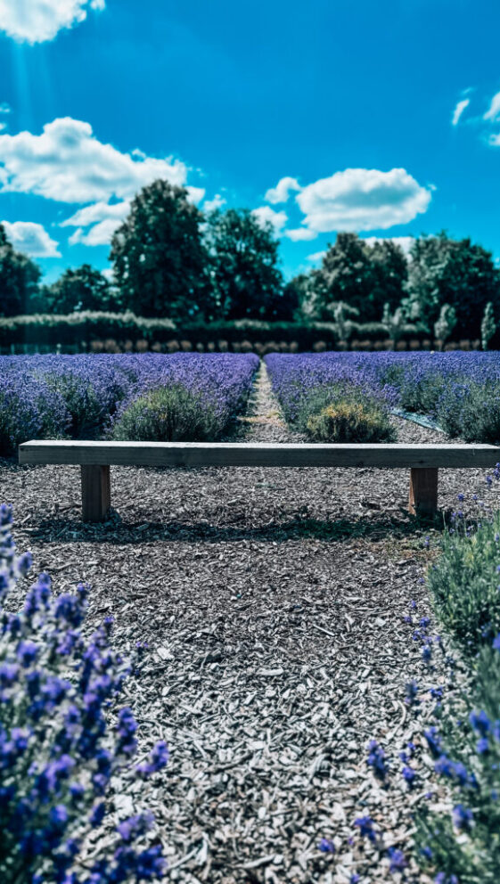 Photo 23-06-2024, 10 40 15