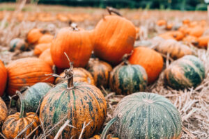 Photo 06-10-2024, 13 11 03