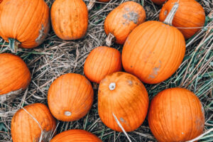 Photo 06-10-2024, 13 12 13