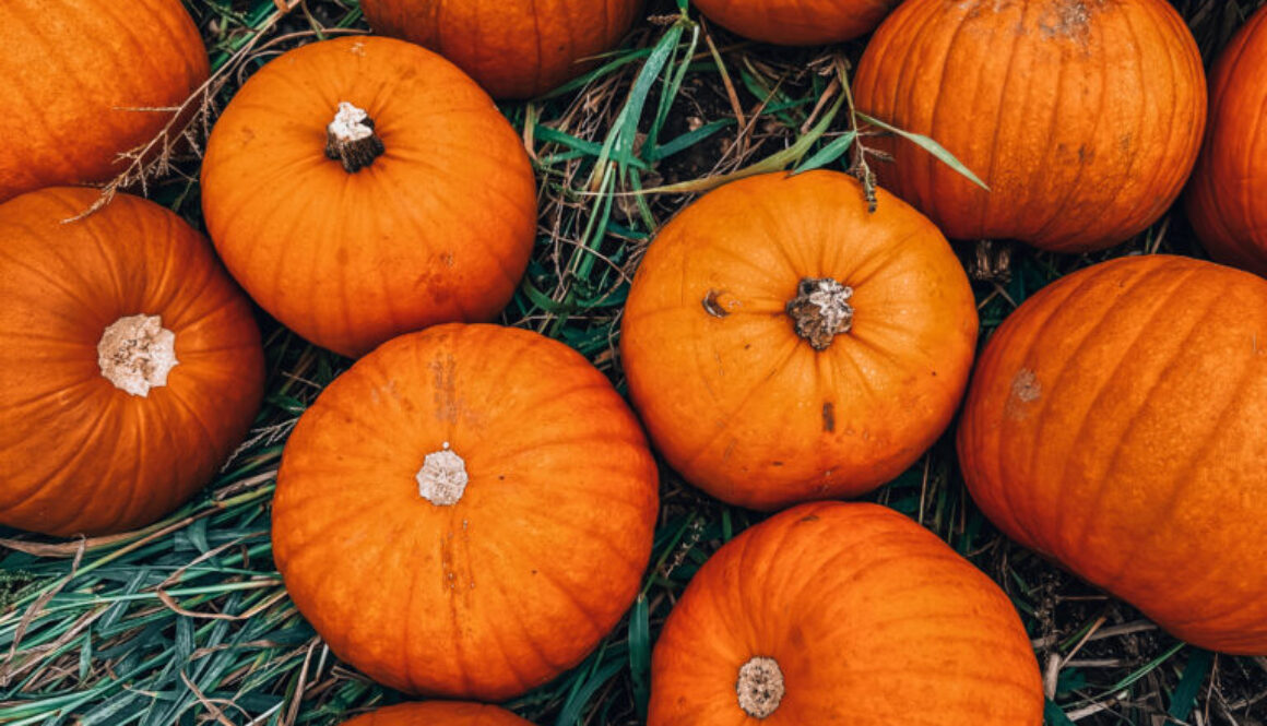 Photo 06-10-2024, 13 29 56