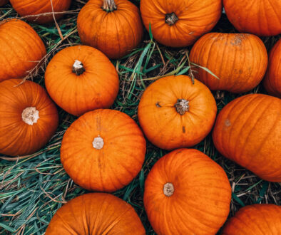 Photo 06-10-2024, 13 29 56