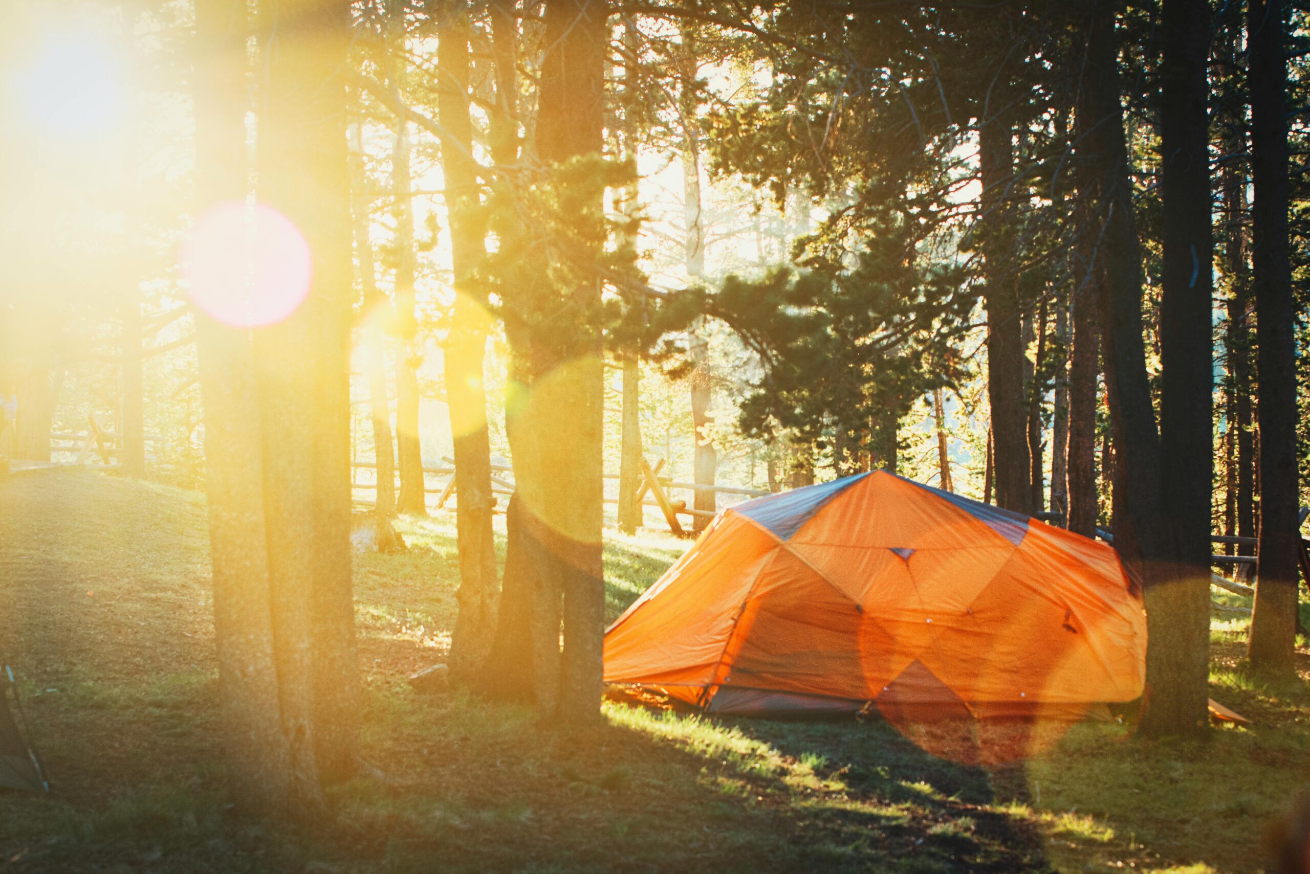 pexels-todd-trapani-488382-2609954 2 orange tents n the right hand side, nestled in some large trees, with the sun shining in from the left