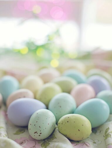 pexels-jill-wellington-1638660-3979242